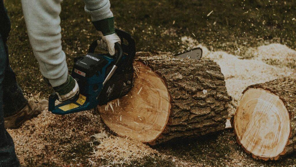 chainsaw safety tips