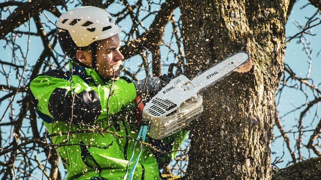 Types of Chainsaws